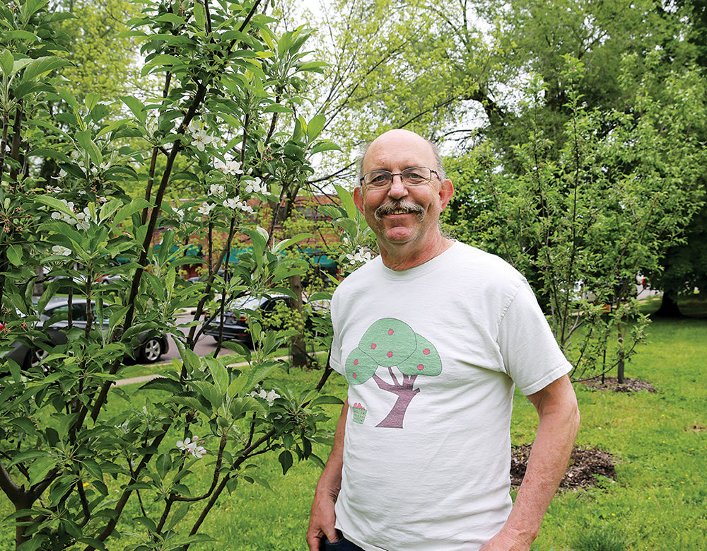 orchard1.jpg